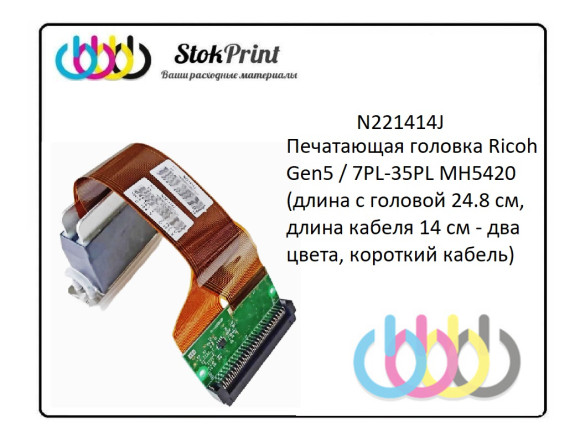 N221414J Печатающая головка Ricoh Gen5 / 7PL-35PL MH5420 (длина с головой 24.8 см, длина кабеля 14 см - два цвета, короткий кабель)